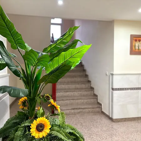 Costa Del Sol Seaside - 5 Mins From *